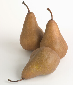 Bosc Pears