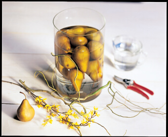 pears-under-water-2