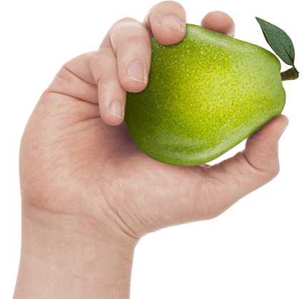 2 REASONS EATING PEARS SHOULD BE A PART OF YOUR DAILY ROUTINE 