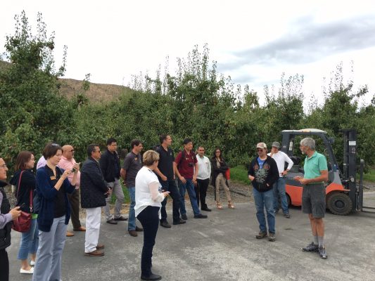 International Market Reps Tour Northwest Pear Orchards