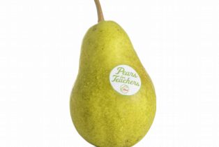 pears for teachers
