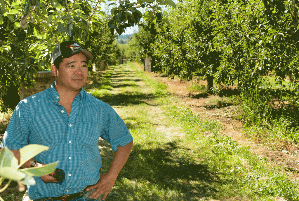 Pear grower Randy Kiyokawa in his Oregon orchard