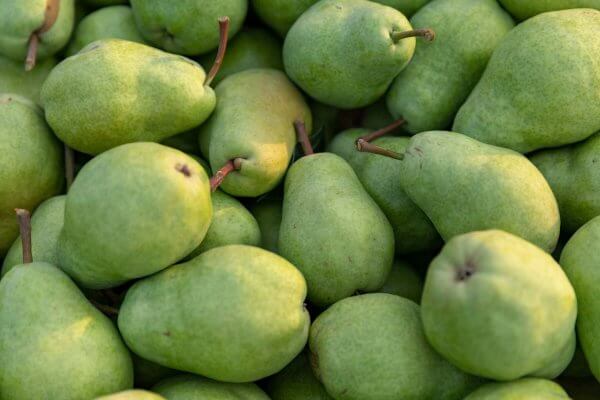 Pear Bureau Northwest Receives Trade Mitigation Relief Funding