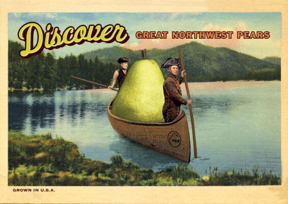 The History Behind Northwest Pears
